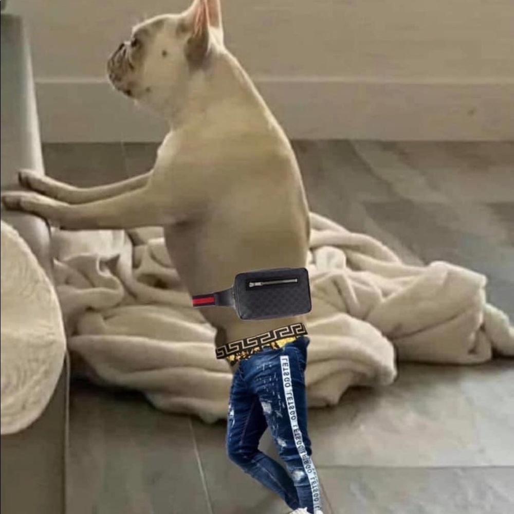 Meet your Posher, Kevin